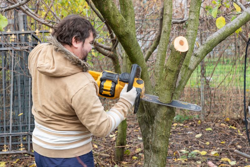 Tree Cutting Service