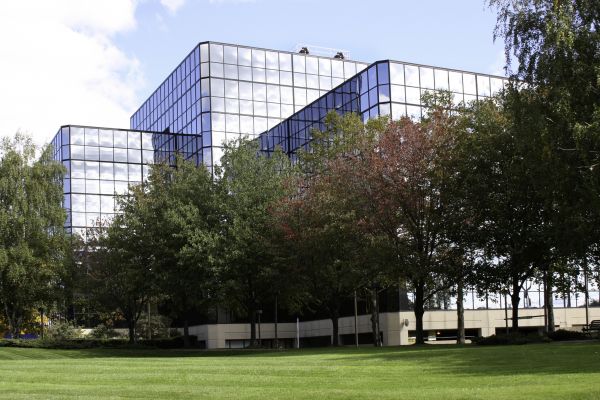 Commercial Tree Trimming in Danville